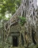 Экскурсия в Сием-Рипе Экскурсия в Сием-Рипе