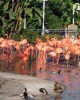 ������������ ��� - ������� ��� �����