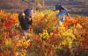 Rioja
