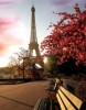 Весна – лучшее время года в Париже