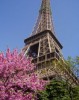 Почему в марте нужно обязательно побывать в Париже?