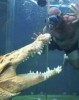 Куда ехать и что делать любителям острых ощущений? Куда ехать и что делать любителям острых ощущений?