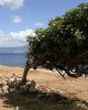 Остров Крит - современные курорты и древние мифы