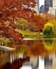Осень в Нью-Йорке - Топ-5 исторических достопримечательностей