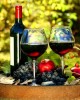 Дегустация вин, напитков в Омодосе