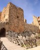 Частный тур в Джераше Частный тур в Джераше