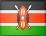 Частные гиды в Кении