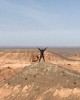 Тур по природе в пустыня Гоби