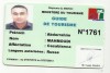 Лицензия или Сертификат гида Лицензия или Сертификат гида