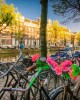 Пешеходная экскурсия в Амстердаме
