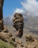 Тур по природе в Тенерифе