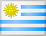 Частные гиды в Уругвае